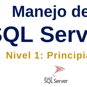 Dominio de SQL Server: Nivel Básico
